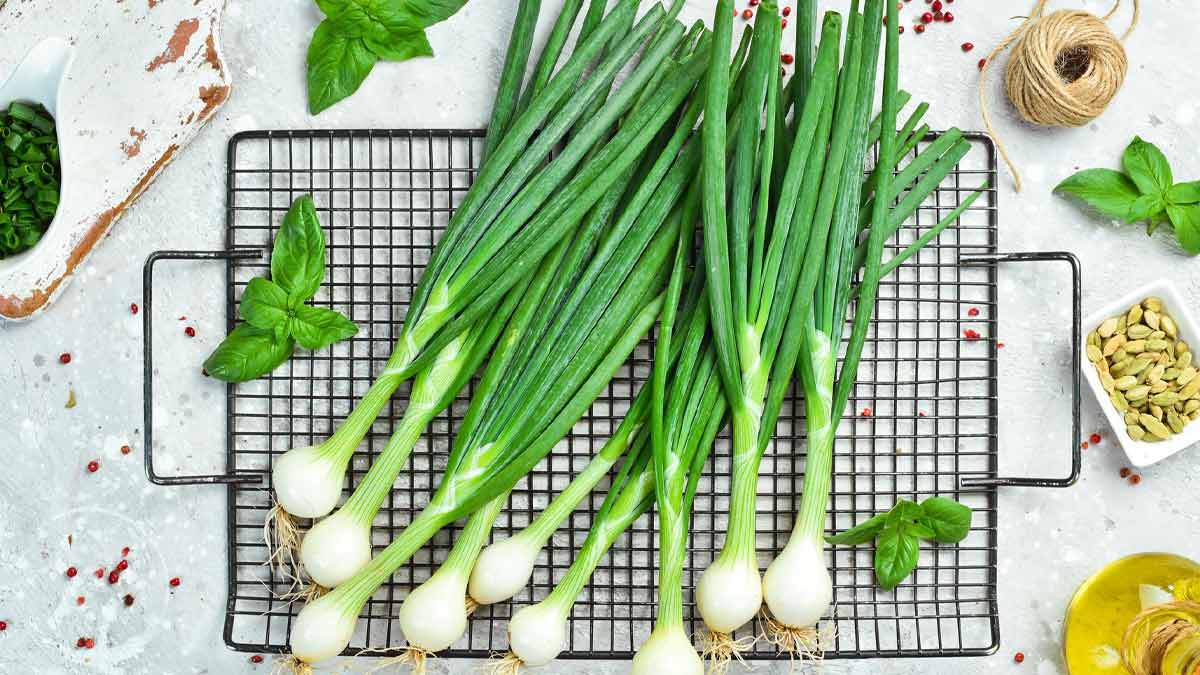 green onion health benefits