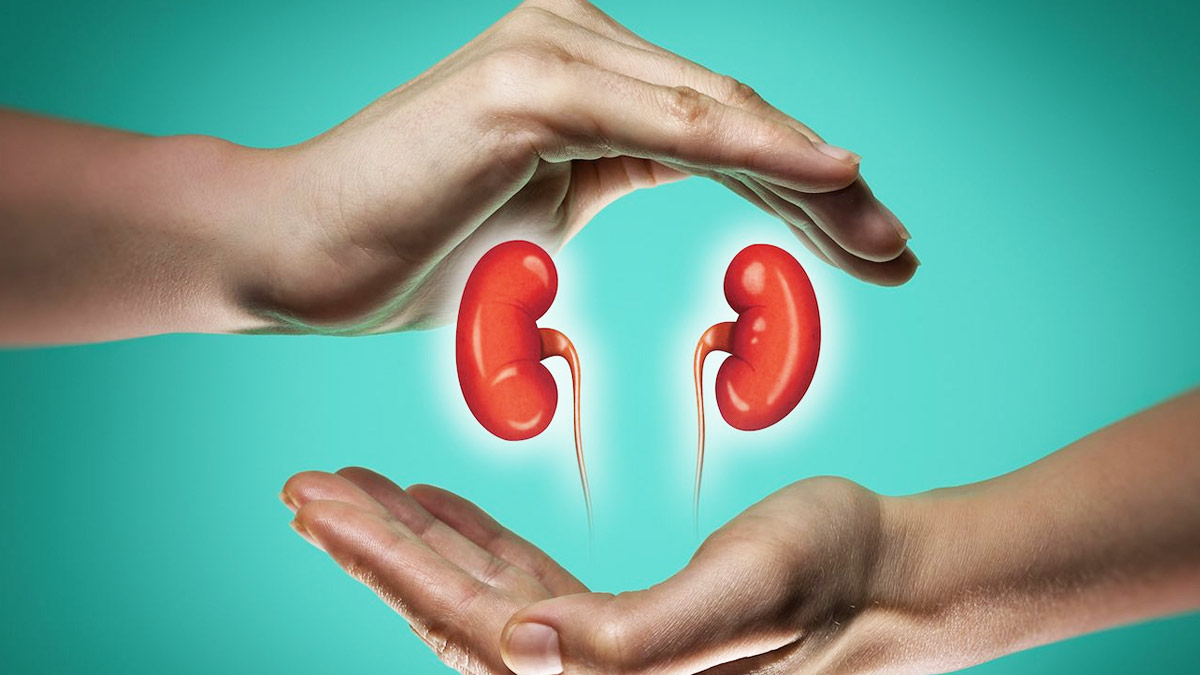 6-how-to-prevent-kidney