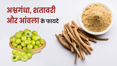 अश्वगंधा, शतावरी और आंवला खाने से सेहत को मिलेंगे 6 जबरदस्त फायदे