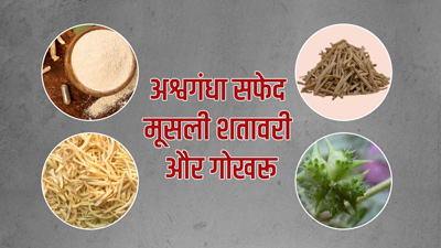 अश्वगंधा, सफेद मूसली, शतावरी और गोखरू साथ में खाने से सेहत को मिलते हैं ये 5 फायदे