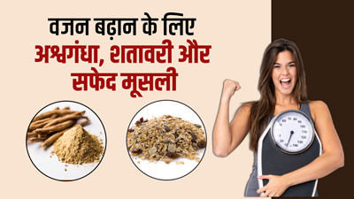 तेजी से वजन बढ़ाता है अश्वगंधा, शतावरी और सफेद मूसली का मिश्रण, जानें कैसे करें सेवन