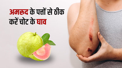 अमरूद के पत्तों से करें चोट के घाव का इलाज, इस तरह करें इस्तेमाल