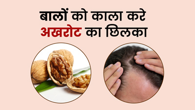 बालों को काला करे अखरोट का छिलका, ऐसे करें इस्तेमाल