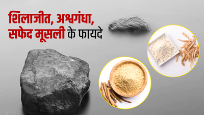 शिलाजीत, अश्वगंधा, सफेद मूसली का एक साथ सेवन करने के फायदे