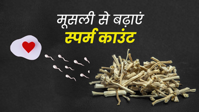 स्पर्म काउंट बढ़ा सकती है सफेद मूसली, इन 5 तरीकों से करें सेवन