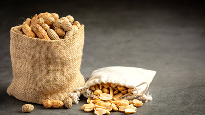 हल्की-फुल्की भूख को कम करने के लिए खाएं ये 5 चीजें, सेहत को नहीं देंगी नुकसान