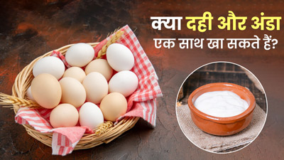 अंडा और दही साथ में खाने से सेहत को होते हैं कई नुकसान, जानें क्या कहते हैं एक्सपर्ट