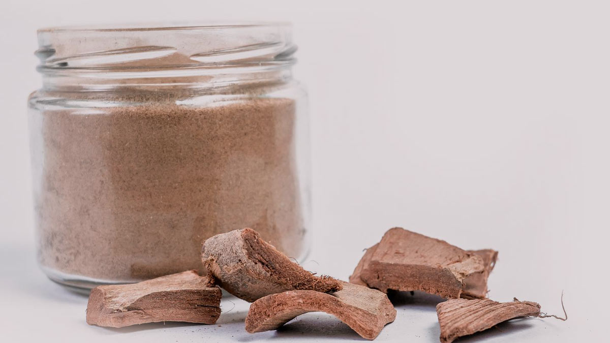  Arjuna Bark Benefits in Hindi