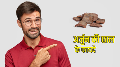 सुबह खाली पेट करें अर्जुन की छाल का सेवन, दूर होंगी ये 5 समस्याएं