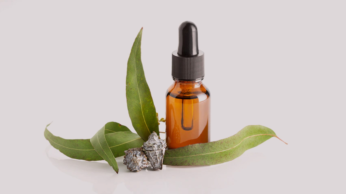 nilgiri oil benefits