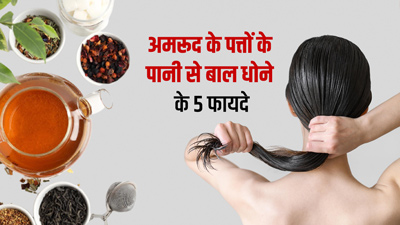 उबले हुए अमरूद के पत्तों के पानी से धोएं बाल, दूर होंगी ये 5 समस्याएं