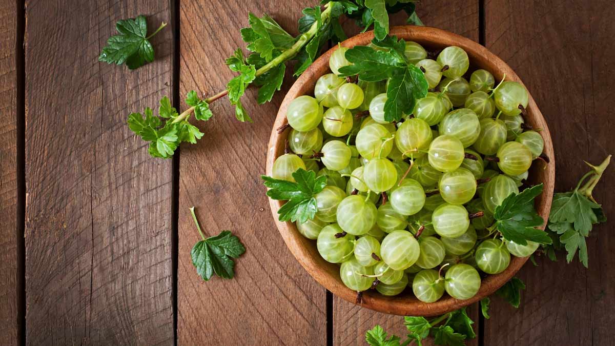 Vaginal-Discharge-Remedies