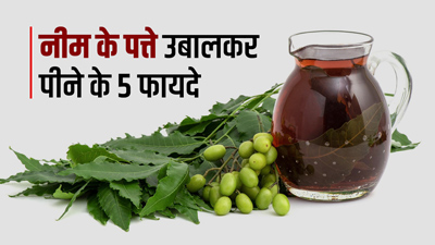 सुबह नीम की पत्तियां उबालकर पीने से सेहत को मिलेंगे 5 जबरदस्त फायदे