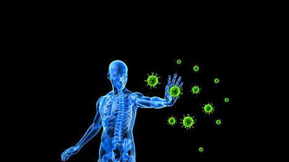 flax seeds and gond laddu boost immunity