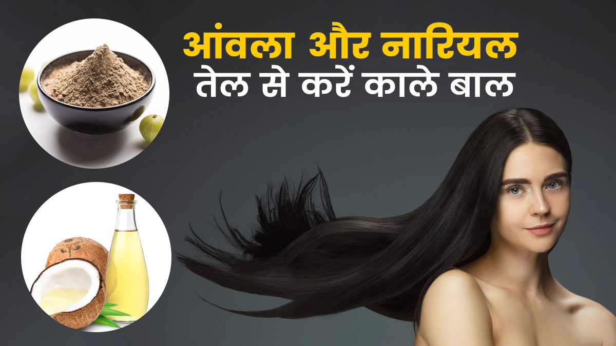 बाल काले करने के लिए आंवला पाउडर और नारियल तेल के फायदे | Amla Powder And Coconut  Oil Benefits For Grey Hair In Hindi | amla powder aur nariyal tel se baal