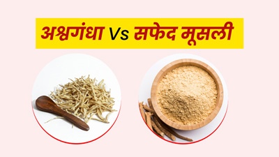 अश्वगंधा Vs सफेद मूसली, सेहत के लिए क्या है ज्यादा फायदेमंद?
