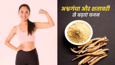 वजन बढ़ाने के लिए इस तरह खाएं अश्वगंधा और शतावरी, मिलेंगे कई फायदे