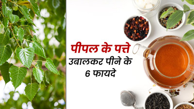 पीपल के पत्ते उबालकर पीने से सेहत को मिलेंगे 6 जबरदस्त फायदे