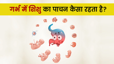 गर्भ से लेकर जन्म होने तक, बच्चे में कब-कैसे शुरू होती है पाचन की प्रक्रिया