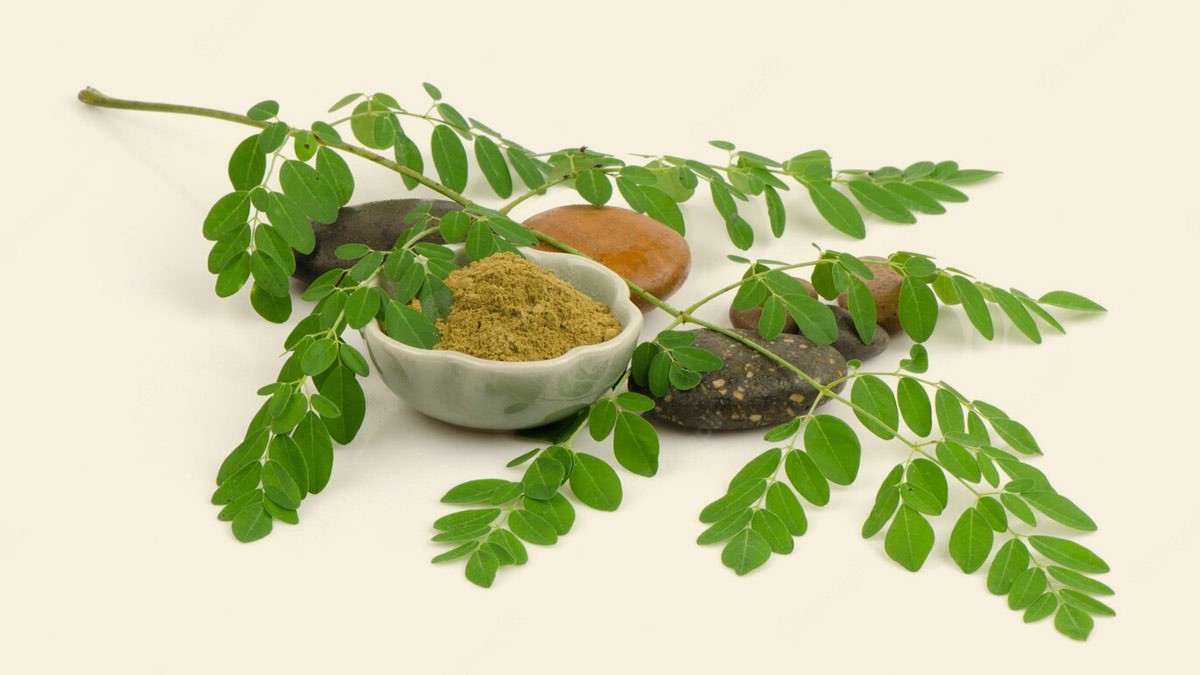 Drumstick Leaves Boiled Water Benefits