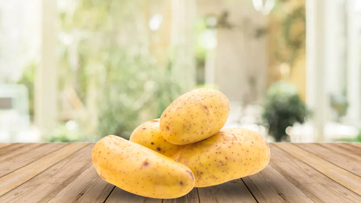 Potato