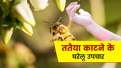 ततैया के काटने पर अपनाएं ये 5 घरेलू उपाय, दर्द और सूजन से जल्द मिलेगी राहत