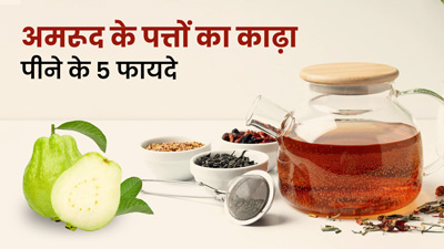 सुबह अमरूद के पत्तों का काढ़ा पीने से सेहत को मिलेंगे 6 फायदे, जानें कैसे बनाएं