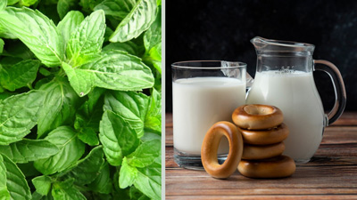 रात में दूध में मिलाकर पिएं गुड़ और तुलसी, सेहत को मिलेंगे कई फायदे 