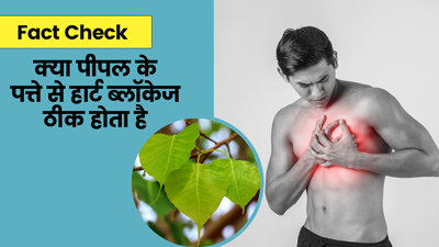 Fact Check: पीपल के पत्ते से हार्ट ब्लॉकेज ठीक होता है? आनें इस वायरल दावे की सच्चाई