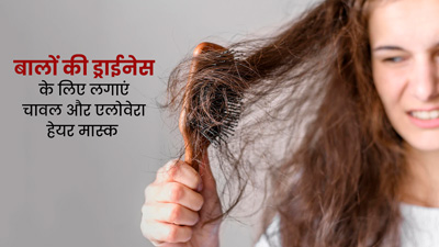 रूखे और बेजान हो गए हैं बाल? लगाएं चावल और एलोवेरा हेयर मास्क