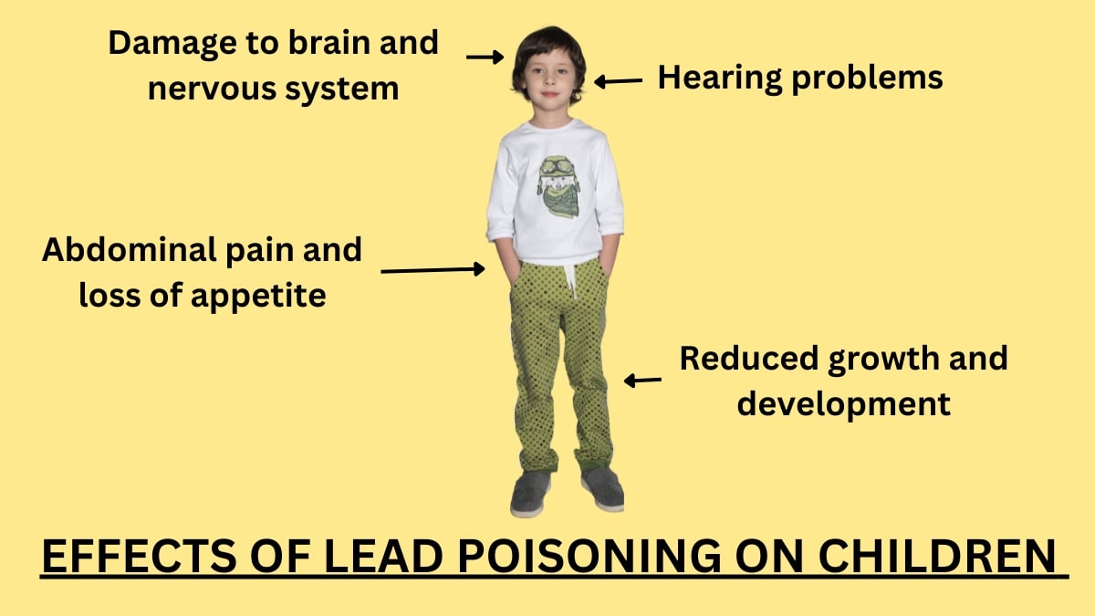 Lead Poisoning in Children Know its Effects, Prevention & Treatment