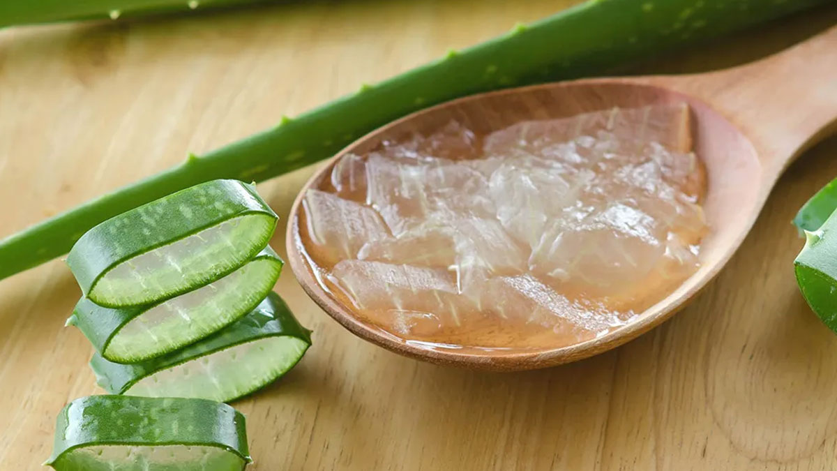 aloe vera gel for hair care