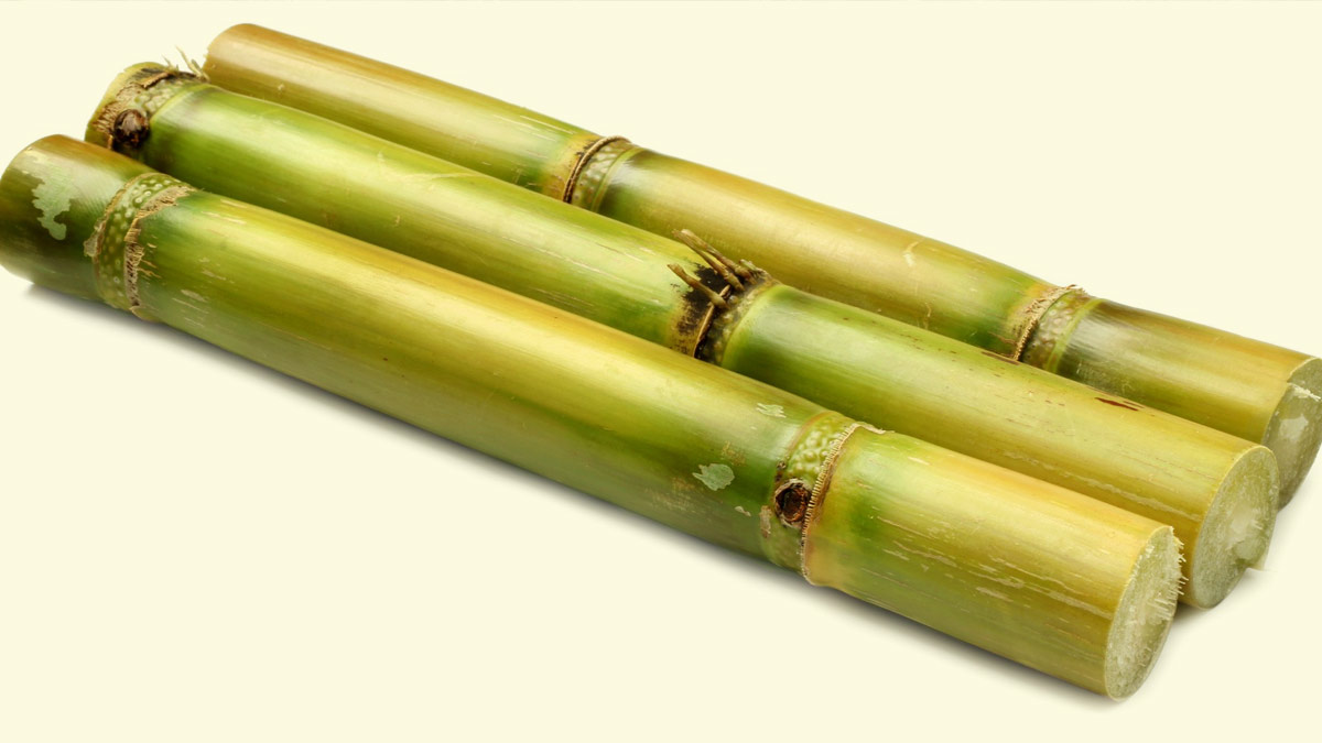 Benefits of Sugarcane (Ganne ka Ras) in Hindi
