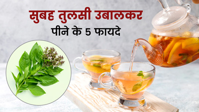 सुबह पानी में उबालकर पिएं तुलसी की पत्तियां, सेहत को मिलेंगे 5 जबरदस्त फायदे