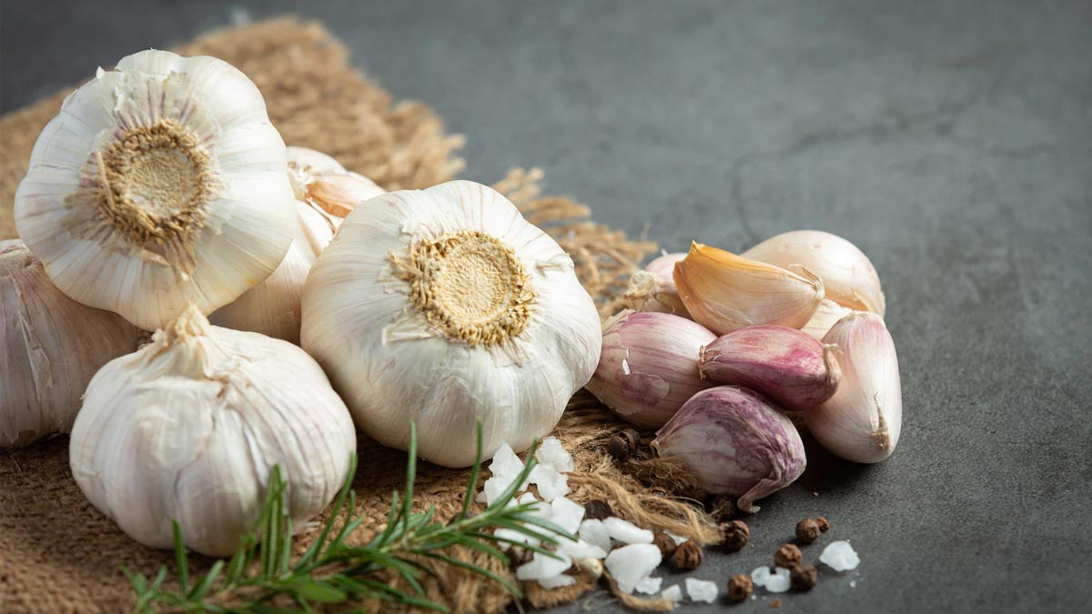garlic benefits
