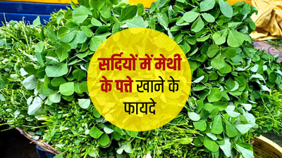 Methi In Winters: सर्दियों में जरूर खाएं मेथी के पत्ते, होंगे ये 5 फायदे