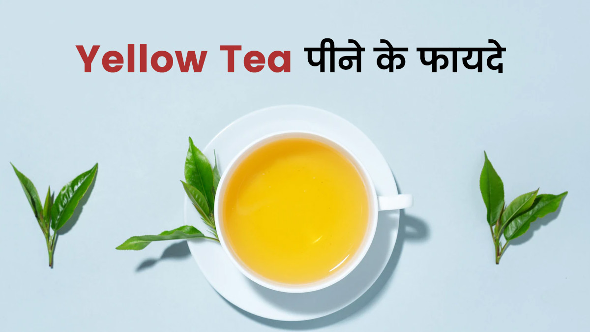 सेहत के लिए वरदान है Yellow Tea, जानें राजा-महाराजाओं की इस पसंदीदा चाय के फायदे