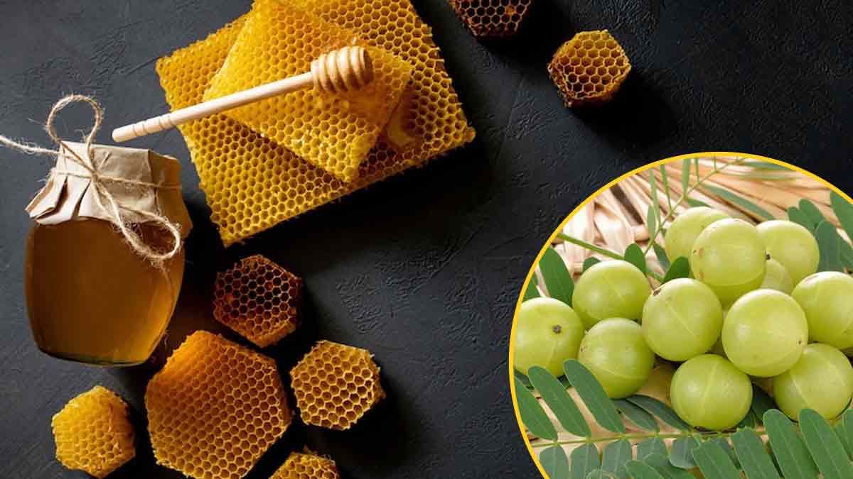 amla honey benefits