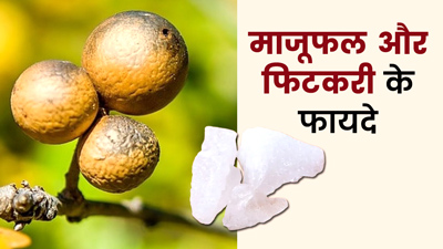 माजूफल और फिटकरी लेने से सेहत को मिलेंगे ये 5 फायदे