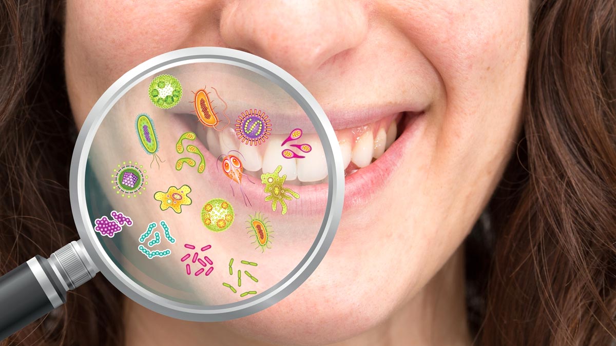 majufal and fitkari for oral health