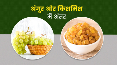 अंगूर या किशमिश: इन दोनों में से क्या है अधिक फायदेमंद, जानें