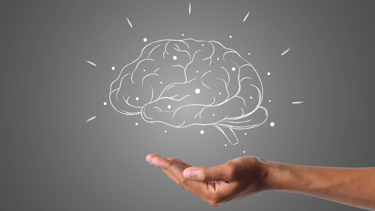 walnuts and milk improve memory power
