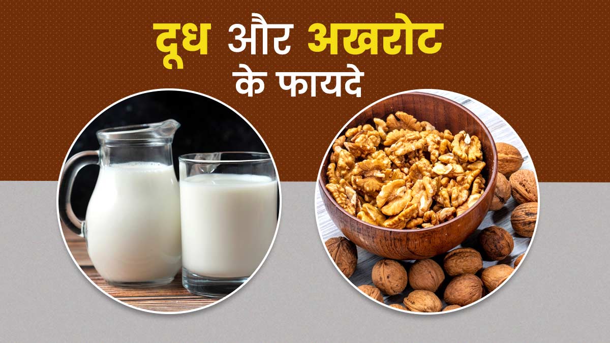 Walnut with Milk: दूध में उबाल कर खाएं अखरोट, मिलेगें ये 5 जबरदस्त फायदे