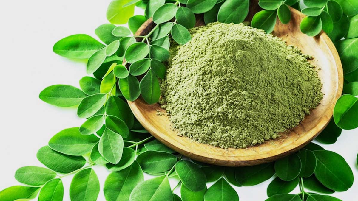 moringa benefits 