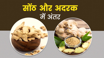 Saunth vs Ginger: सोंठ और अदरक, जानें इन दोनों में से क्या है अधिक फायदेमंद