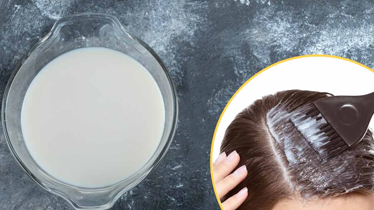 बासी दूध को फेकें नहीं, बालों को हेल्‍दी बनाने के ल‍िए इन 4 तरीकों से करें इस्‍तेमाल