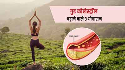 एचडीएल (गुड) कोलेस्ट्रॉल को बढ़ाने के लिए करें ये 3 योगासन