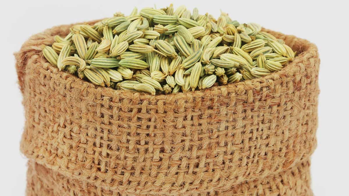 Variyali Sharbat For Weight Loss