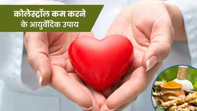 कोलेस्ट्रॉल घटाने के लिए इस्तेमाल करें ये आयुर्वेदिक जड़ी-बूटियां