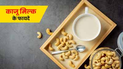 पोषक तत्वों से भरपूर है काजू मिल्क, जानें इसे पीने के 5 फायदे